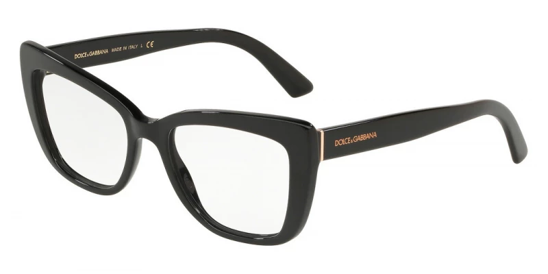 Dolce & Gabbana DG3308 501